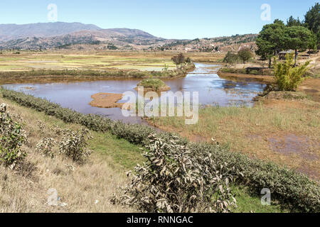 Viste lungo la N7 strada da Antsirtabe di Ranomafana Parco nazionale del Madagascar - campi di riso Foto Stock