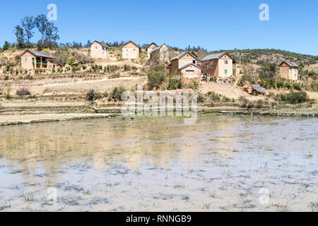 Viste lungo la N7 strada da Antsirtabe di Ranomafana Parco nazionale del Madagascar - campi di riso Foto Stock