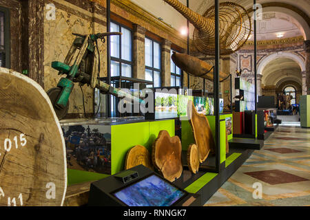 Interno del AfricaMuseum / Museo Reale per l'Africa Centrale, etnografia e il museo di storia naturale a Tervuren, Brabante Fiammingo, Belgio Foto Stock