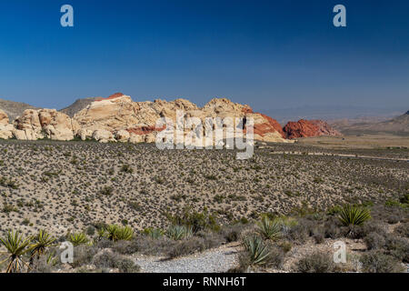 Il Red Rock Canyon National Conservation Area, Las Vegas, Nevada, Stati Uniti. Foto Stock