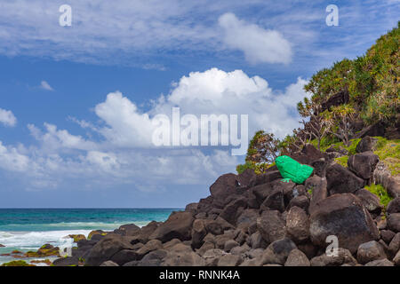 Il verde Froggie - grande dipinto di rana di pietra vicino Snapper rocks in Coolangatta, QLD, Australia Foto Stock