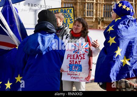 Londra, Regno Unito. 19 Feb, 2019. Un cittadino tedesco implora per i britannici di soggiorno nell'UE.Pro protesta UE,Case del Parlamento,Westminster,London.UK Credit: Michael melia/Alamy Live News Foto Stock