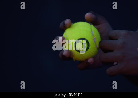 Rio de Janeiro, Brasile. 19 Feb, 2019. RJ - Rio de Janeiro - 02/19/2019 - Open Rio 2019 - Rio 2019 aperto presso il Rio Open 2019, ATP 500 stadio del tennis mondiale circuito, tenutosi presso il Jockey Club Brasileiro, dove le gare che si svolgono tra il XVI e il 24 di febbraio. Foto: Thiago Ribeiro / AGIF Credito: AGIF/Alamy Live News Foto Stock