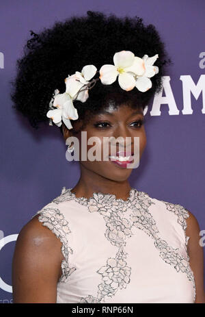 Beverly Hills, California, Stati Uniti. 19 febbraio 2019. 19 febbraio 2019 - Beverly Hills, California - Danai Gurira. 21° CDGA (Costume Designers Guild Awards) tenutosi al Beverly Hilton Hotel. Credito fotografico: Birdie Thompson/AdMedia Foto Stock