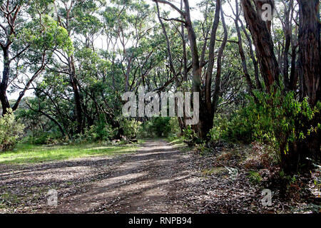 Visitare l'Australia. Viste e scenic del paese e del continente australiano. Foto Stock