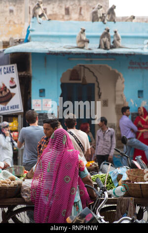 Una donna in vendita alcuni ortaggi nella piazza principale di Pushkar, India, mentre guardi le scimmie in distanza. Foto Stock