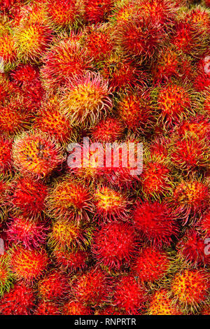 Fresca frutta rambutan mazzetto sul mercato locale in Sri Lanka. Il rambutan è di medie dimensioni con struttura ad albero tropicale nella famiglia Sapindaceae. Foto Stock