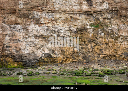 Scogliera rocciosa a Huntcliff, Cambs, North Yorkshire, Inghilterra. Una zona interessante di geologia. Foto Stock