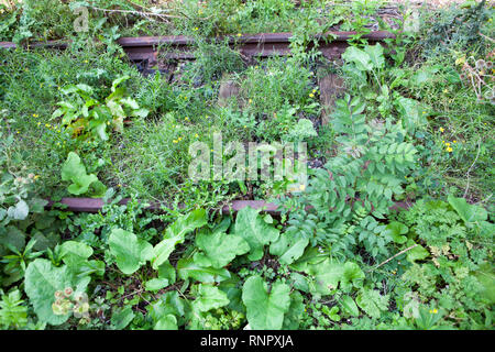 Ricoperta di binari ferroviari Foto Stock