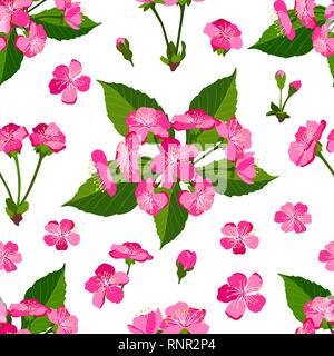 Molla pattern seamless sfondo con fiori di ciliegio vettore Illustrazione Vettoriale