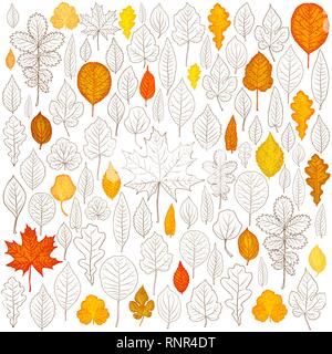 Set di vettore di foglie silhouette Illustrazione Vettoriale