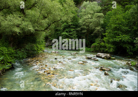 Fiume Radika, Mavrovo National Park, Macedonia Foto Stock