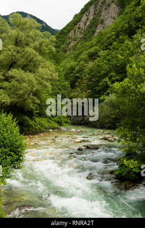 Fiume Radika, Mavrovo National Park, Macedonia Foto Stock