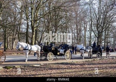 Carrozze trainate da cavalli in Dyrehaven in Copenhagen Foto Stock