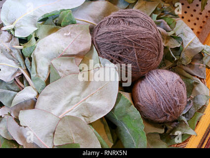 Viola peruviana di Lana di Alpaca palline di filato tinto di piante locali foglie a Chinchero, Ande villaggio nella regione di Cuzco del Perù Foto Stock