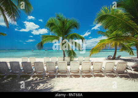 Estate vacanze e vacanze. Mare sedie a sdraio sulla spiaggia tropicale, palme e la sabbia bianca. Paesaggio di viaggio. Repubblica Dominicana, Saona Island. Foto Stock