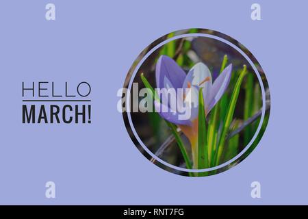 Biglietto di auguri ciao marzo Welcome card all'inizio della primavera. Saluti a molla. Foto Stock
