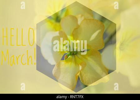 Biglietto di auguri ciao marzo Welcome card all'inizio della primavera. Saluti a molla. Foto Stock