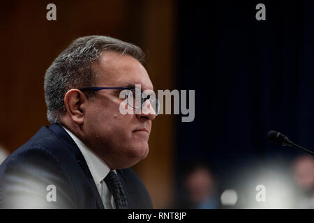 Andrew Wheeler, deliberando amministratore dell'Agenzia per la protezione ambientale, testimonia durante la sua audizione di conferma prima del Senato sul colle del Campidoglio di Washington il 16 gennaio 2019. Foto Stock