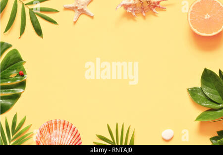 Sfondo tropicale. Palme rami con stella marina e conchiglia su sfondo giallo. Il viaggio. Copia dello spazio. Foto Stock
