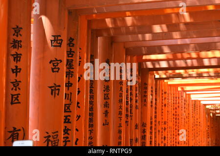 Porte di Inari Foto Stock