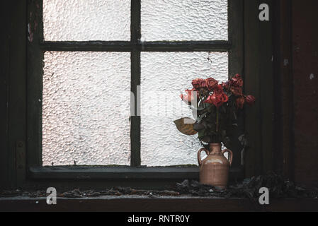 Rosa appassita in un vaso a sinistra sul davanzale di una weathered finestra in legno. Home abbandonati e dimenticati i fiori Foto Stock