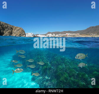 Spagna villaggio costiero con pesci e piante fanerogame subacquea, mare Mediterraneo, La Isleta del Moro, Cabo de Gata Nijar, Andalusia, Almeria, vista suddivisa Foto Stock