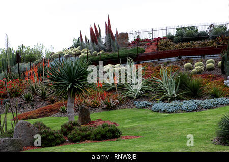 Visitare l'Australia. Viste e scenic del paese e del continente australiano. Foto Stock