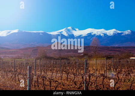 San Lorenzo picchi di montagna innevata. Inverno vigna vitigni Ezcaray La Rioja, Spagna. Foto Stock