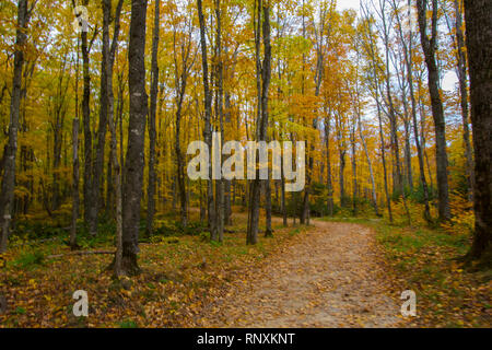 Minatore della Falls Trail viste in autunno, Pictured Rocks National Lakeshore, Michigan Foto Stock