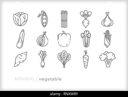 Set di 15 vegetale alimentare le icone della linea di prodotti freschi di fattoria sani verdure Illustrazione Vettoriale