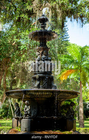 Giardino Botanico di Rio de Janeiro Foto Stock