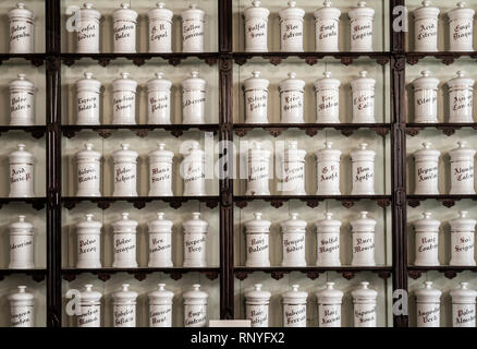 El Centro de Plantas Medicinales (piante medicinali centro) Science Museum di Tejeda su Gran Canaria Isole Canarie Spagna Foto Stock