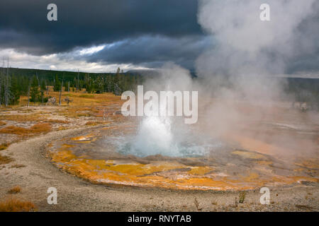 WY03833-00...WYOMING - Geyser rustico nel cuore del lago area termale vicino alle rive del lago di cuore nel backcountry del Parco Nazionale di Yellowstone. Foto Stock