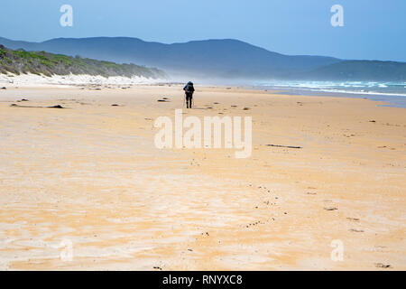 Escursioni sul prione spiaggia lungo la costa sud via Foto Stock