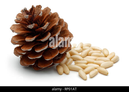 Cumulo di pinoli e pino cono isolato su sfondo bianco Foto Stock
