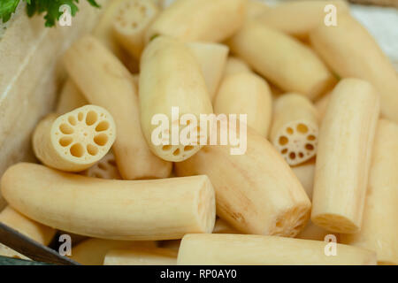 Freschi di radici di loto Foto Stock