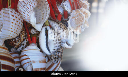 Mixed colorful sea shells as background. Sea shells macro view. Sea shells close up Foto Stock