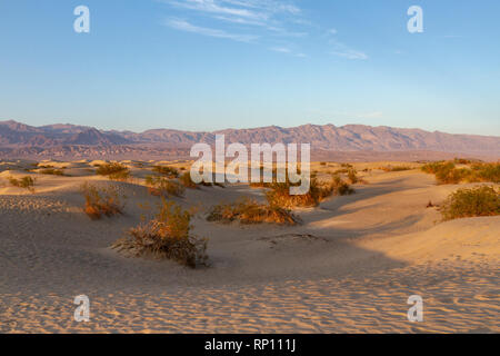 Mesquite Flat dune di sabbia, il Parco Nazionale della Valle della Morte, California, Stati Uniti. Foto Stock