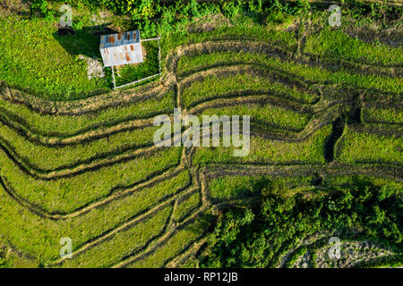 (Vista da sopra) stupefacente veduta aerea di un piccolo capanno su una spettacolare verdi risaie a terrazza che forma una consistenza naturale sulle colline di Luang Prabang Foto Stock