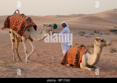 DUBAI, Emirati Arabi Uniti - 18 Febbraio 2018: uomo arabo con i cammelli nel deserto vicino a Dubai Foto Stock