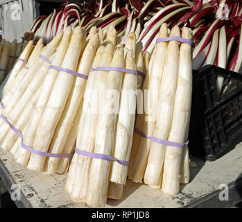 Mazzetto di bianco grande asparagi in vendita dal fruttivendolo Foto Stock