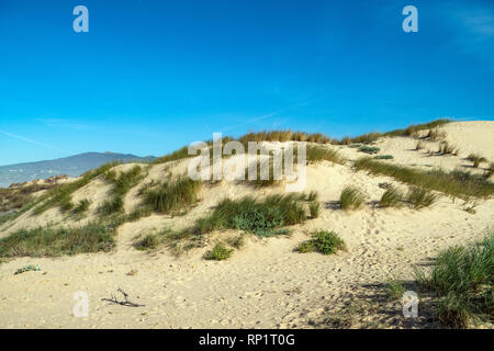 Vista delle dune di sabbia sulla spiaggia di Guincho vicino alla costa Atlantica. Paesaggio della giornata di sole e cielo blu . Cascais. Portogallo Foto Stock