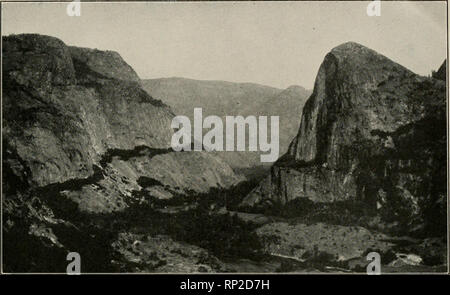 . American forestali. Le foreste e la silvicoltura. Vista generale dell'Hetch Hetchy Valley Foto di ?)". /•". H'iin:iaii così fine una caduta potrebbe anche sembrare suffi- ciente per glorificare ogni vallata; ma qui, come a Yosemite, la natura sembra in nessun saggio moderata, ad una breve distanza a est di Tueeulala bracci e thun- ders grande Hetch-Hetchy caduta, Wa- pama, così vicino che si dispone sia di loro in piena vista dallo stesso stand - punto. È la controparte della caduta di Yosemite, ma ha un volume molto maggiore di acqua è di circa 1.700 metri in altezza e risulta essere quasi ver- tical, se entra in ogni tasca Foto Stock