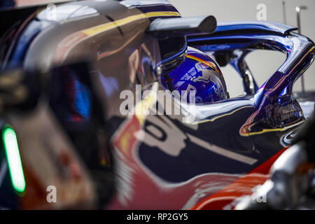 Barcellona, Spagna. 19 Feb, 2019. Alexander Albon (THA), la Scuderia Toro Rosso Honda STR14, azione durante la Formula 1 test invernali da febbraio 18 a 21, 2019 a Barcellona, Spagna - : Campionato del Mondo di Formula Uno FIA 2019, test di Barcellona, Credito: dpa/Alamy Live News Foto Stock