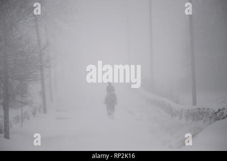 Virginia, Stati Uniti d'America. Xx Febbraio 2019. Durante una tempesta di neve di equitazione si fa strada verso il basso Foggy Bottom Road vicino al Bloomfield, Virginia. (Foto di Douglas Graham/WLP) Credito: William Graham/Alamy Live News Foto Stock