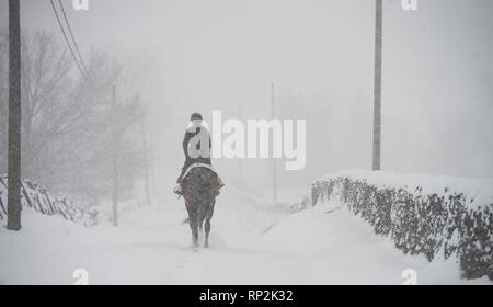 Virginia, Stati Uniti d'America. Xx Febbraio 2019. Durante una tempesta di neve di equitazione si fa strada verso il basso Foggy Bottom Road vicino al Bloomfield, Virginia. (Foto di Douglas Graham/WLP) Credito: William Graham/Alamy Live News Foto Stock