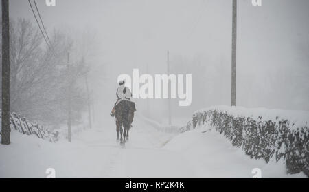 Virginia, Stati Uniti d'America. Xx Febbraio 2019. Durante una tempesta di neve di equitazione si fa strada verso il basso Foggy Bottom Road vicino al Bloomfield, Virginia. (Foto di Douglas Graham/WLP) Credito: William Graham/Alamy Live News Foto Stock