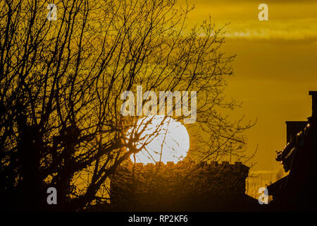 Londra, Regno Unito. Xx Febbraio 2019. Il sole che splende su teh teraced case di Clapham, SW di Londra. Credito: Guy Bell/Alamy Live News Foto Stock