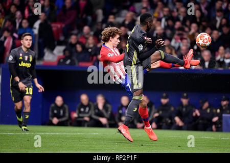 Madrid, Spagna. Xx Febbraio 2019. Foto Alfredo Falcone - LaPresse20/02/2019 Roma ( Italia)Sport CalcioAtletico Madrid - JuventusUefa Champions League 2018 2019 - Stadio Wanda Metropolitano di MadridNella foto:griezmannPhoto Alfredo Falcone - LaPresse20/02/2019 Roma (Italia)Sport SoccerAtletico Madrid - JuventusUefa Champions League 2018 2019 - Wanda Metropolitano Stadium di MadridIn il pic:griezmann Credito: LaPresse/Alamy Live News Foto Stock
